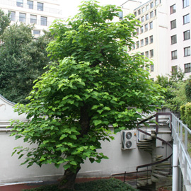 Immeuble Hoche-Beaujon, ancien manège